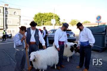 Alegre y participativa romería en El Ejido (Foto FJ Santana y TF)
